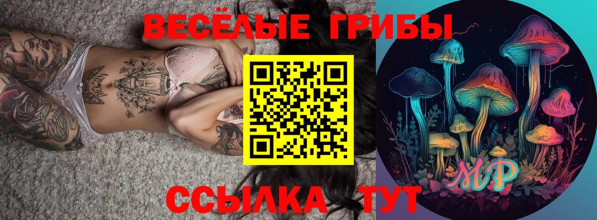 Галлюциногенные грибы Psilocybine cubensis Спасск-Дальний